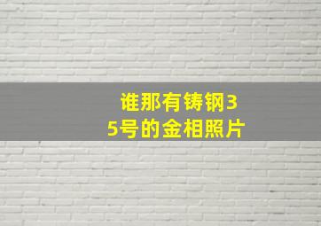 谁那有铸钢35号的金相照片