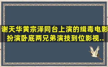 谢天华、黄宗泽同台上演的缉毒电影,扮演卧底两兄弟,演技到位,影视...