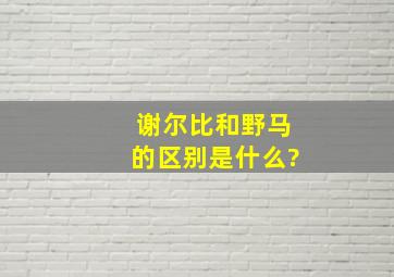 谢尔比和野马的区别是什么?