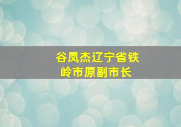 谷凤杰(辽宁省铁岭市原副市长) 