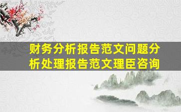 财务分析报告范文(问题分析处理报告范文)「理臣咨询」