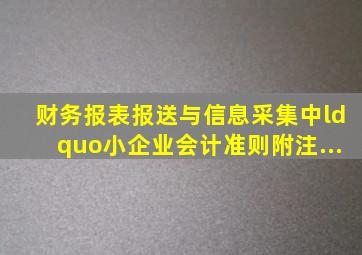 财务报表报送与信息采集中“小企业会计准则附注...