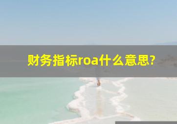 财务指标roa什么意思?