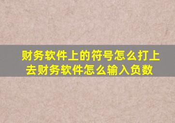 财务软件上的符号怎么打上去(财务软件怎么输入负数) 