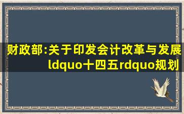 财政部:关于印发《会计改革与发展“十四五”规划纲要》的通知