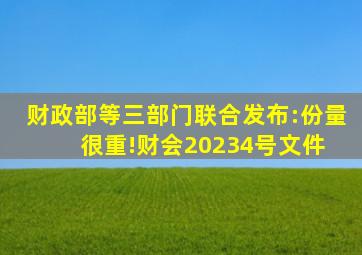 财政部等三部门联合发布:份量很重!财会〔2023〕4号文件 