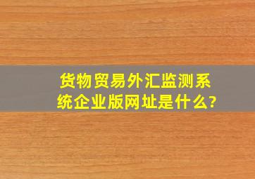 货物贸易外汇监测系统(企业版)网址是什么?