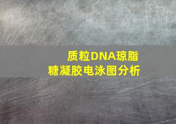 质粒DNA琼脂糖凝胶电泳图分析