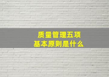 质量管理五项基本原则是什么