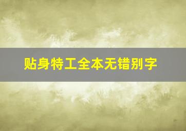 贴身特工全本无错别字