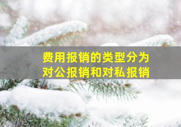 费用报销的类型分为对公报销和对私报销