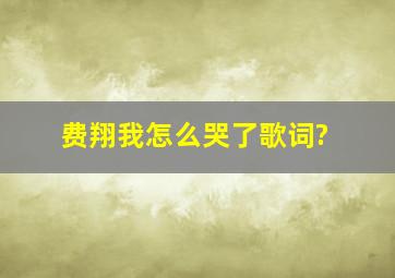 费翔,我怎么哭了歌词?