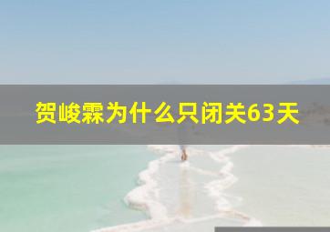 贺峻霖为什么只闭关63天