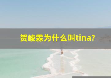 贺峻霖为什么叫tina?