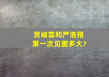 贺峻霖和严浩翔第一次见面多大?