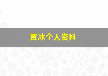 贾冰个人资料