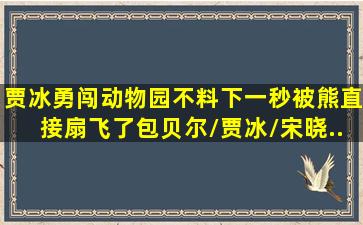 贾冰勇闯动物园,不料下一秒被熊直接扇飞了。包贝尔/贾冰/宋晓...