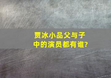 贾冰小品父与子中的演员都有谁?