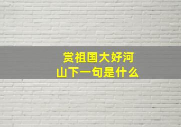 赏祖国大好河山下一句是什么(