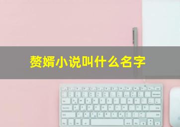 赘婿小说叫什么名字(