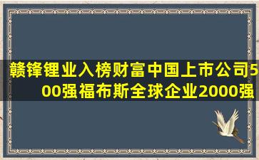 赣锋锂业入榜《财富》中国上市公司500强、《福布斯》全球企业2000强