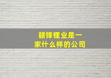 赣锋锂业是一家什么样的公司