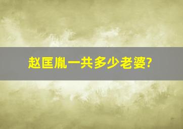 赵匡胤一共多少老婆?