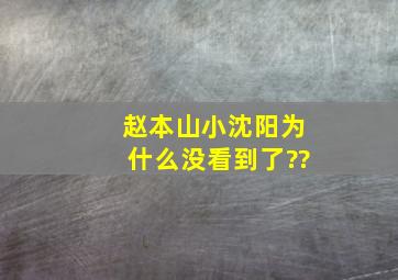 赵本山小沈阳为什么没看到了??