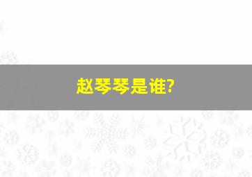 赵琴琴是谁?