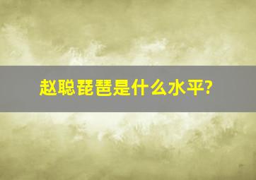 赵聪琵琶是什么水平?