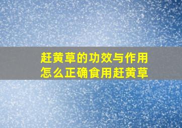 赶黄草的功效与作用 怎么正确食用赶黄草 