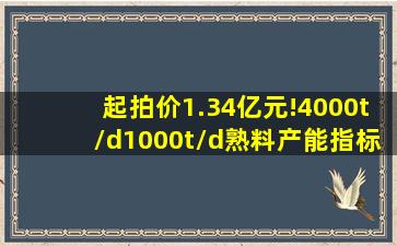 起拍价1.34亿元!4000t/d、1000t/d熟料产能指标出售!