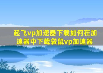 起飞vp加速器下载如何在加速器中下载袋鼠vp加速器 