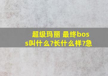 超级玛丽 最终boss叫什么?长什么样?急