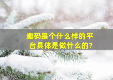 趣码是个什么样的平台,具体是做什么的?