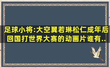 足球小将:【大空翼,若琳,松仁】成年后回国打世界大赛的动画片谁有...