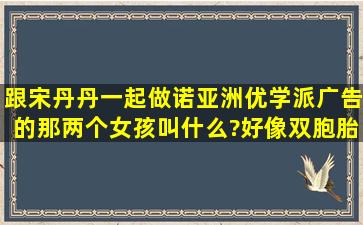 跟宋丹丹一起做诺亚洲优学派广告的那两个女孩叫什么?好像双胞胎!