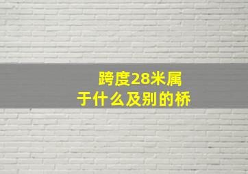 跨度28米属于什么及别的桥