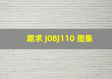 跪求 J08J110 图集