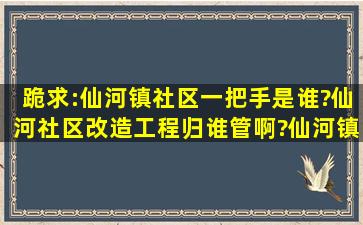 跪求:仙河镇社区一把手是谁?仙河社区改造工程归谁管啊?仙河镇社区...