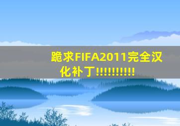 跪求FIFA2011完全汉化补丁!!!!!!!!!!