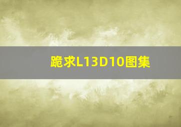 跪求L13D10图集