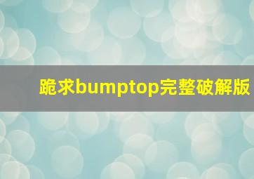 跪求bumptop完整破解版