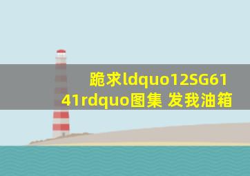 跪求“12SG6141”图集 发我油箱