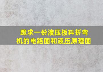 跪求一份液压板料折弯机的电路图和液压原理图