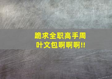 跪求全职高手周叶文包啊啊啊!!