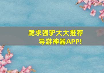 跪求强驴大大推荐导游神器APP!