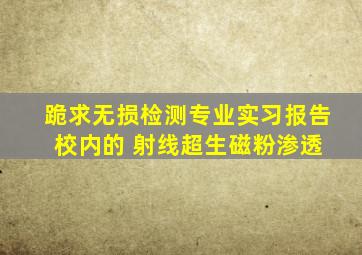 跪求无损检测专业实习报告 校内的 射线超生磁粉渗透