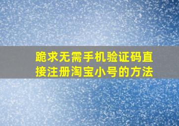 跪求无需手机验证码直接注册淘宝小号的方法