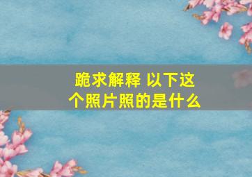 跪求解释 以下这个照片照的是什么